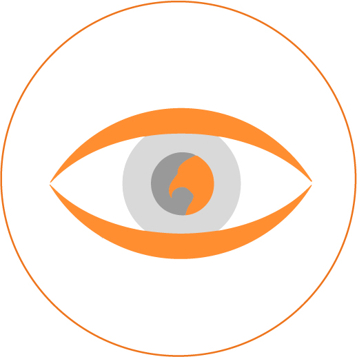 Logo Investigazioni Private e investigazioni aziendali - occhio con falco
